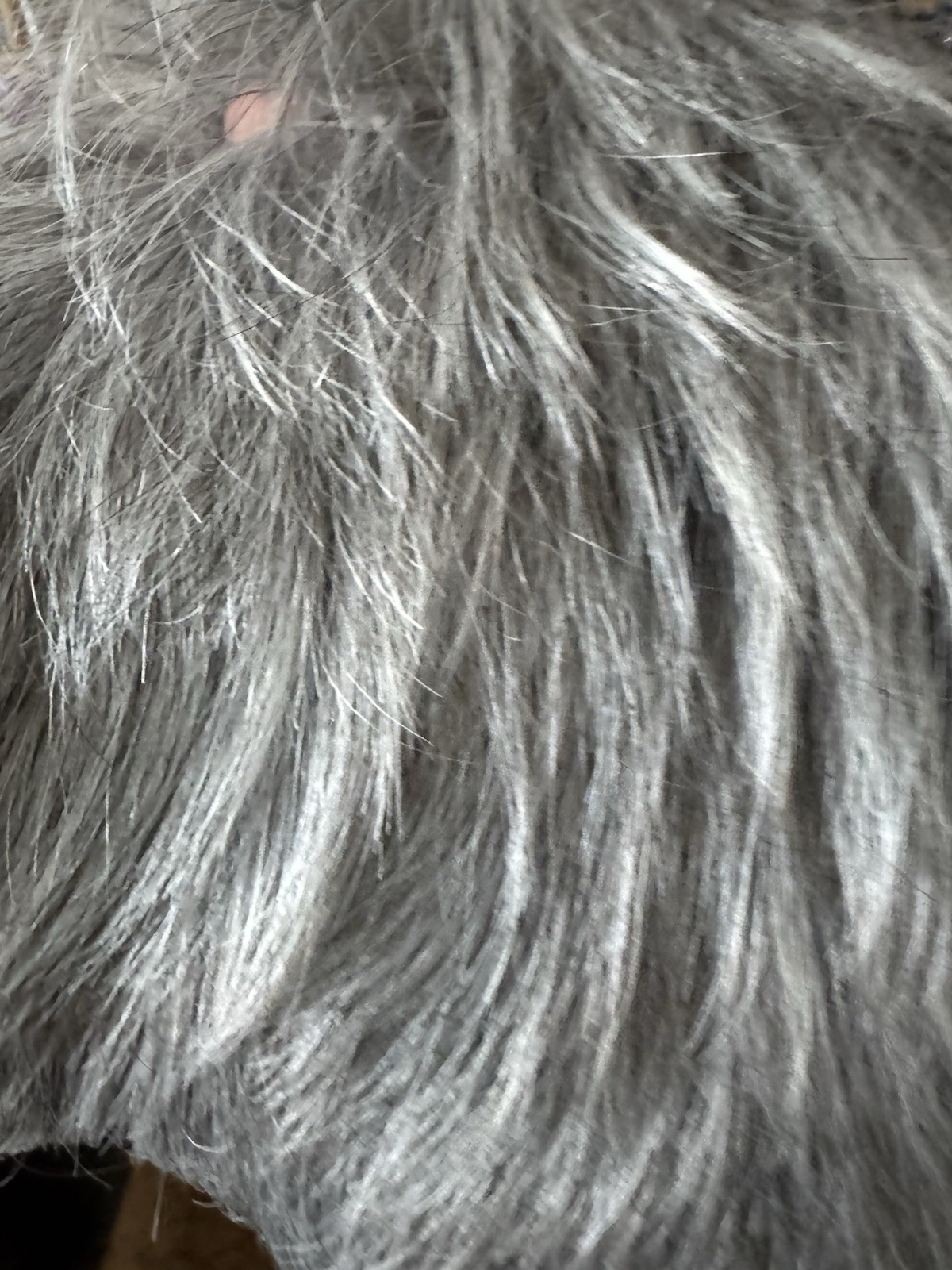 Lot of 4 Short Platinum Gray Synthetic Wigs Layered Pixie Cuts