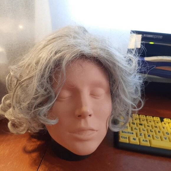 NEW ! Women Wig 12″ In Heat Resistant Hair Synthetic Curve Wig Light Gray