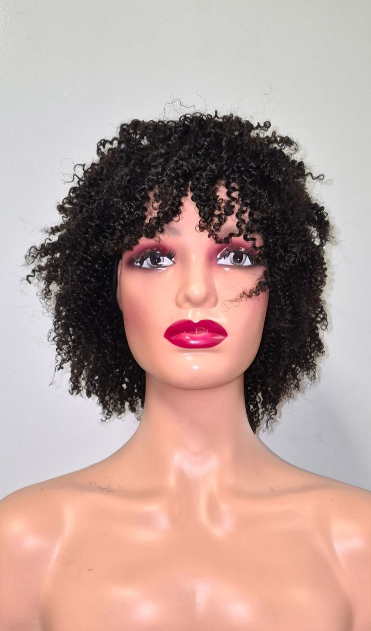 Black Afro Kinky Wig