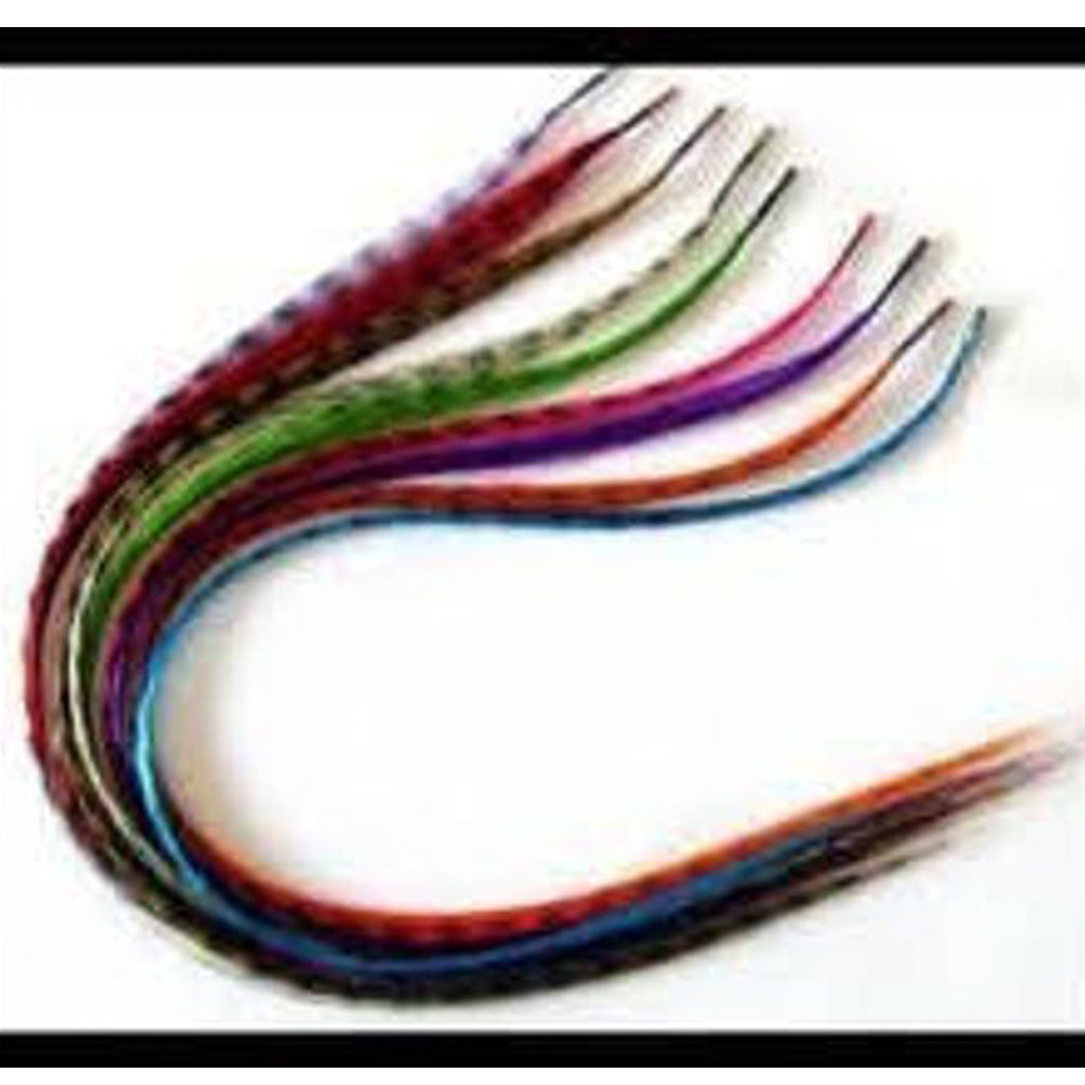 10 Individual Feathers 16 inches Long Rainbow Synthetic Hair 100% Real Extension