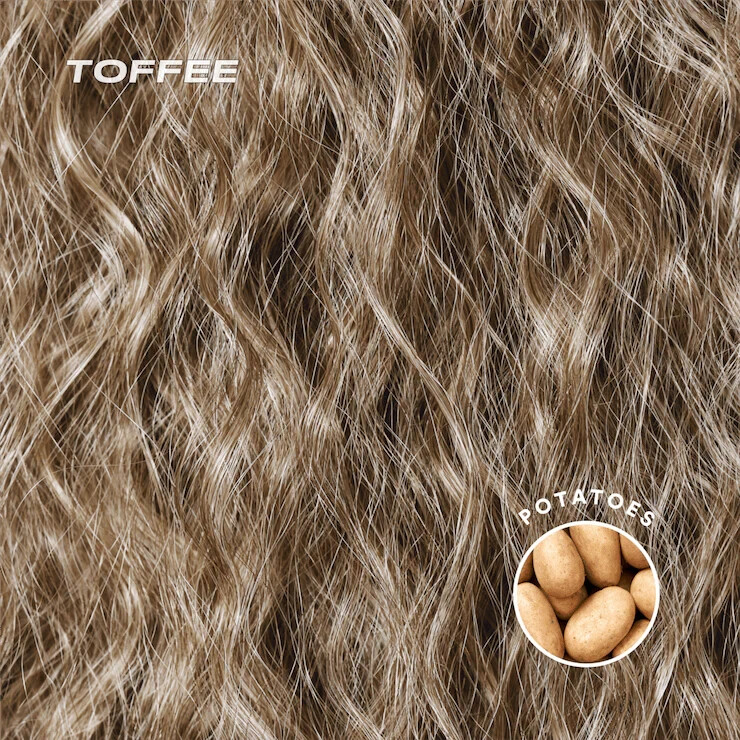 INH SHAYLA 26″ extra long w loose spirals Toffee warm light brown W highlights