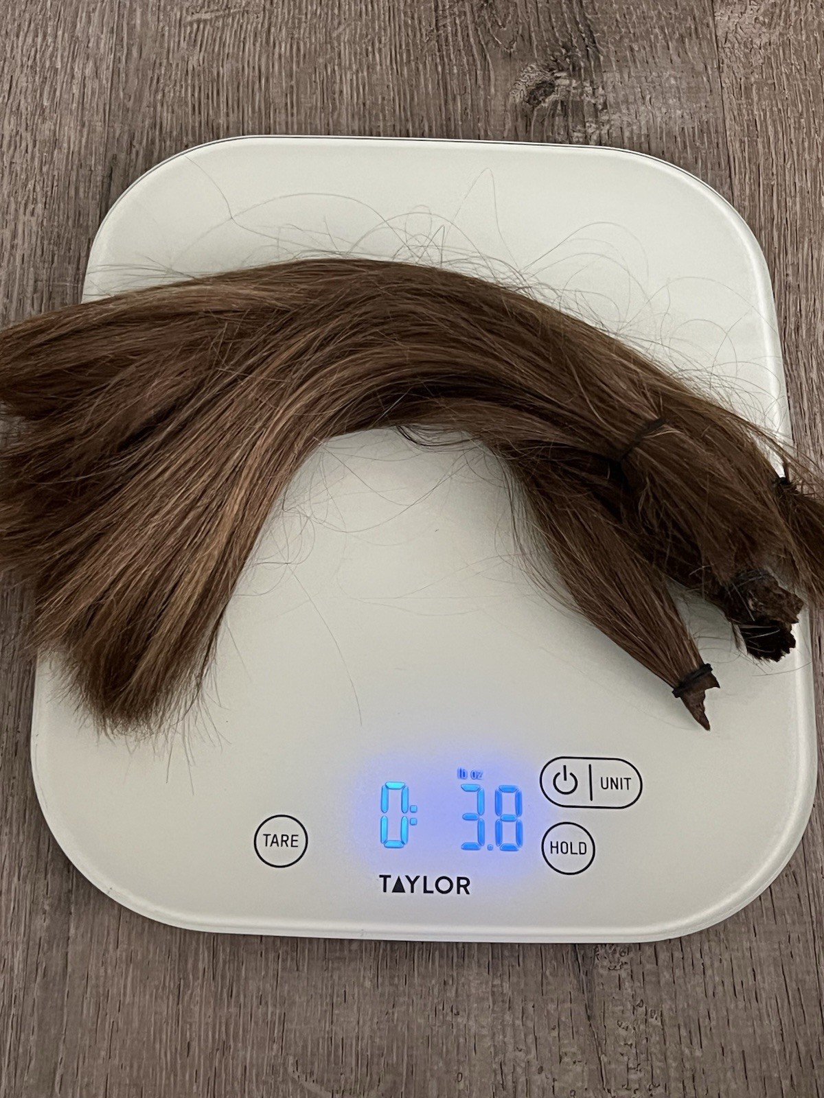 Real Human Hair Cut Ponytail 11 Inch 3.8 Oz From Woman Medium Brown