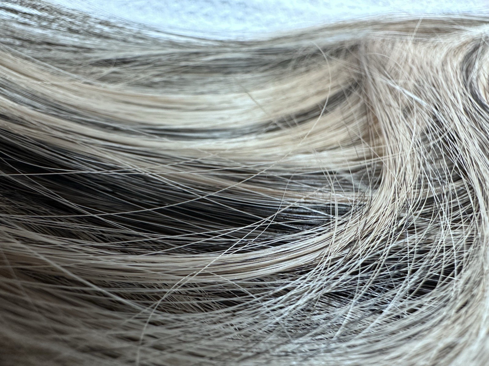 Vigorous Clip-In Synthetic Hair Extension Body Wave Black/Ash Blond 24in