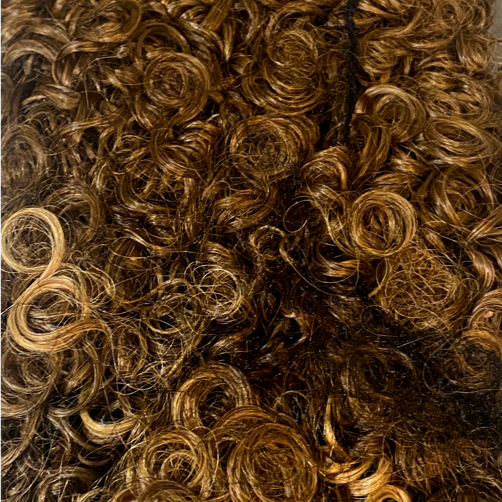Ashro 100% Human Hair Spiral Curl Wig Brown Frost Ombre Women Size Large NWT
