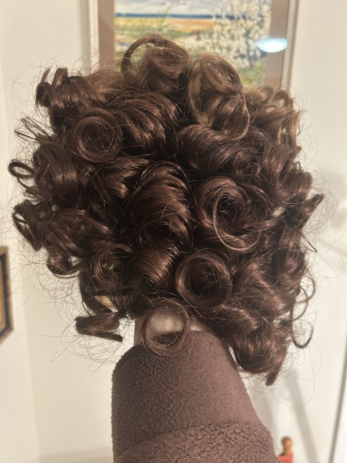 Envy Wig Kenya NWOT Cinnamon Raisin Brown