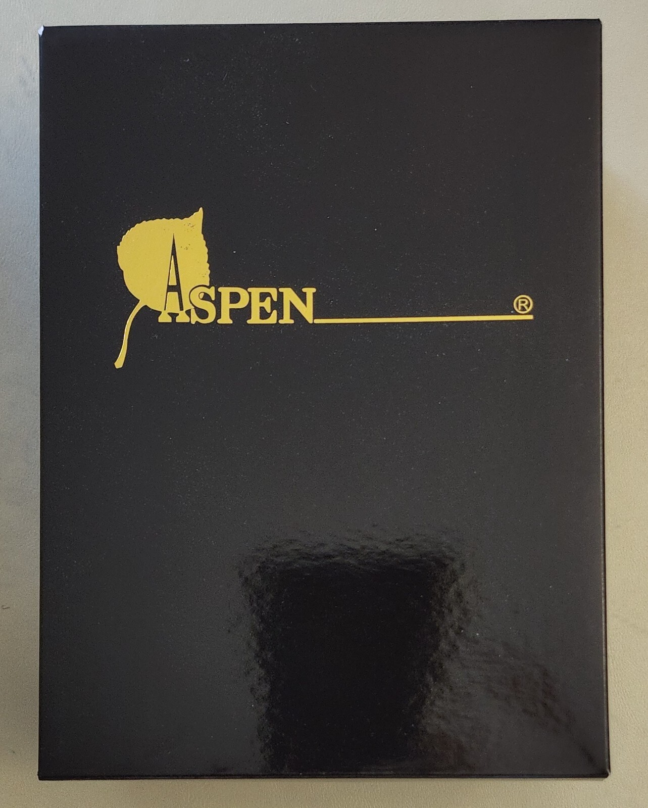 Aspen Men’s Wig