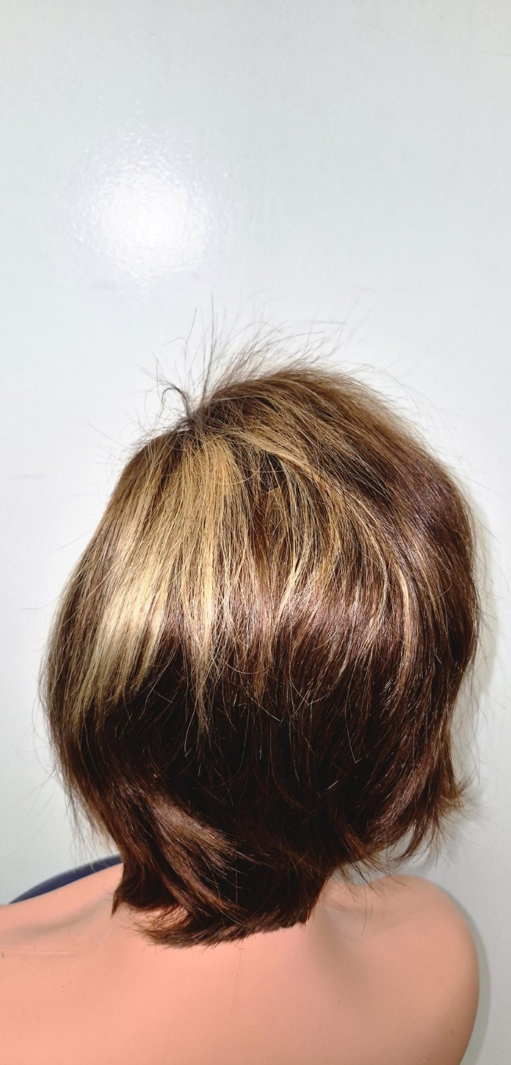 Short Blonde & Brown Wig