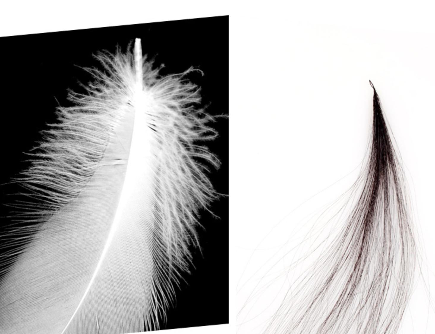 Second Generation Feather Hair Extension Micro Woven Feather 6D Double Line