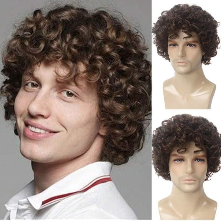 Mens Wig Short Curly Brown Synthetic Hair 12 Inch Natural Looking Daily Wear US