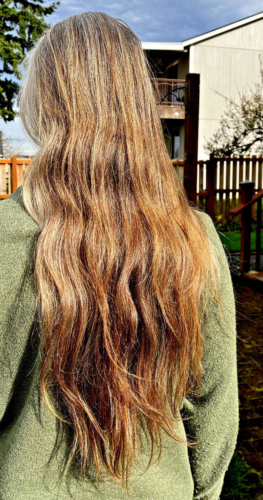 19-21 inches 3.1 oz. Virgin European Auburn Natural Gray Mix Human Hair Healthy!