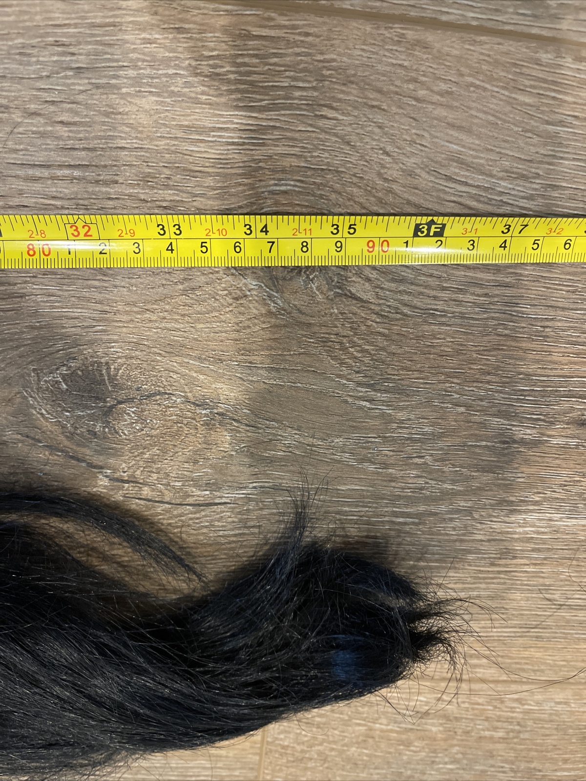 Rene of Paris Ponytail [SEE DETAILS IN LISTING]