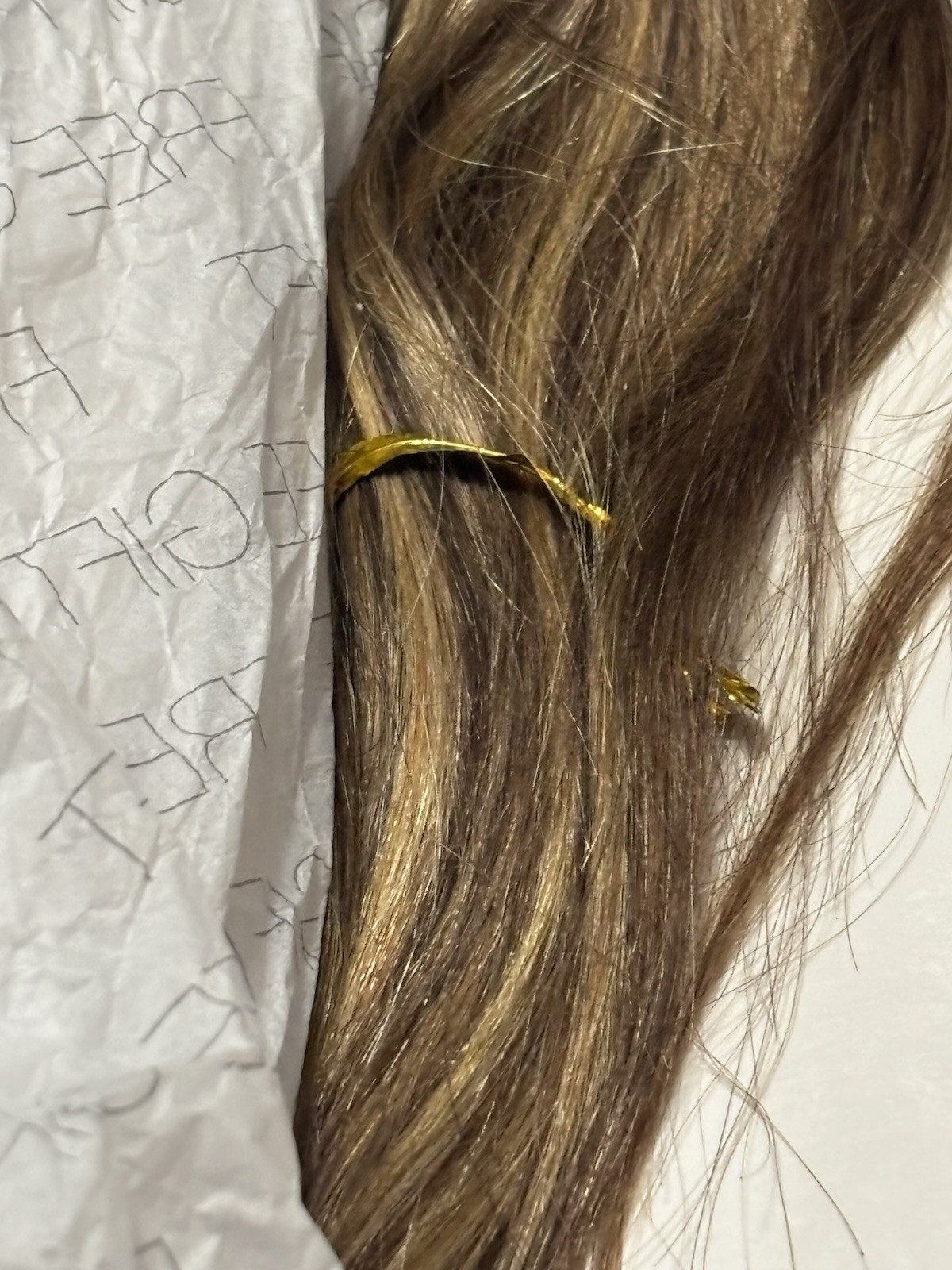 SHE 100% Human Hair Clip-In Extension Wavy 17in 80g Light/Golden Brown P6 27