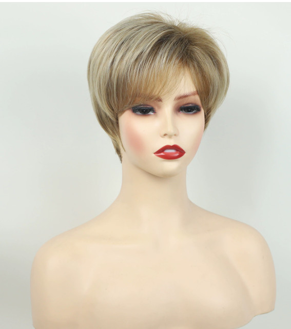 Chic Cut Short Layered Blonde Mix Synthetic Hair Wigs Women Soft Party Daily Use