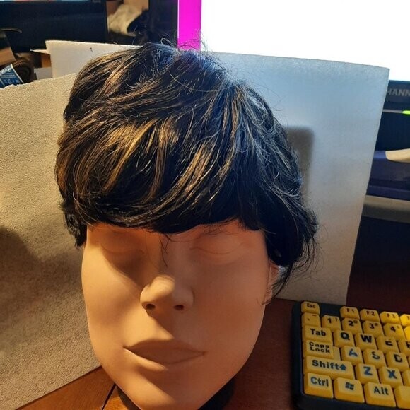 NEW ! 10×8 Women Luxury Hair Curly Cosplay Costume Wig Black