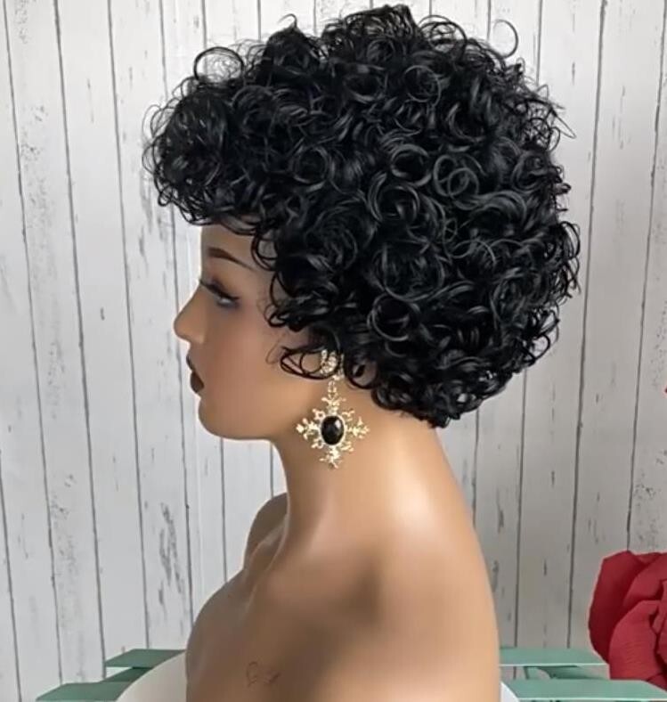 Women Short Afro Fluffy Curly Wigs Natural Wig Black Short Curly Synthetic Hair