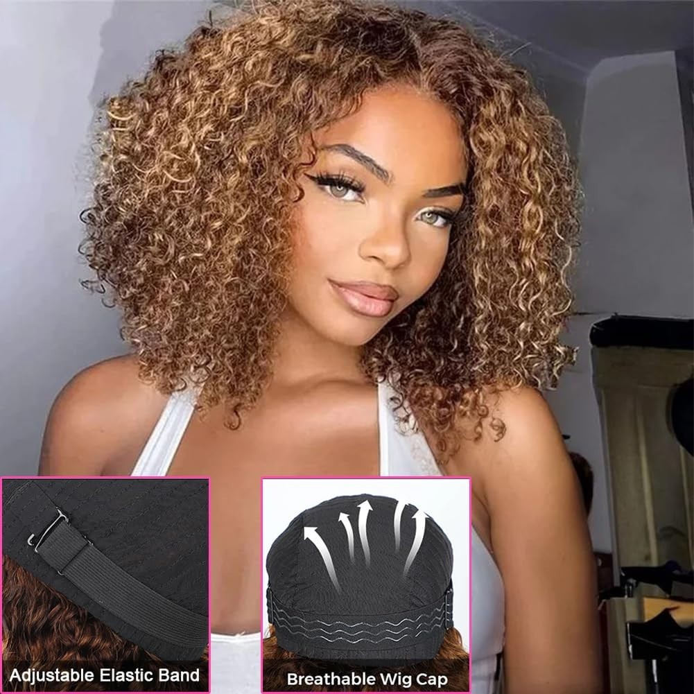 14″ Kinky Curly Glueless Wig Ombre Highlight 4/27, Pre-Cut Lace, Human Hair, 200