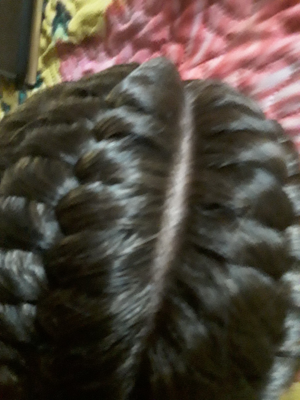 NewFreeShipping 28 Inch Lace Wig Quad Braided Dutch Easy To Install Baby Hairs