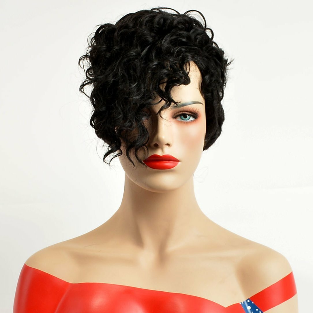 Afro Loose Wave StyleShort HalloweenFashion Curly Wigs for Women Black Natural