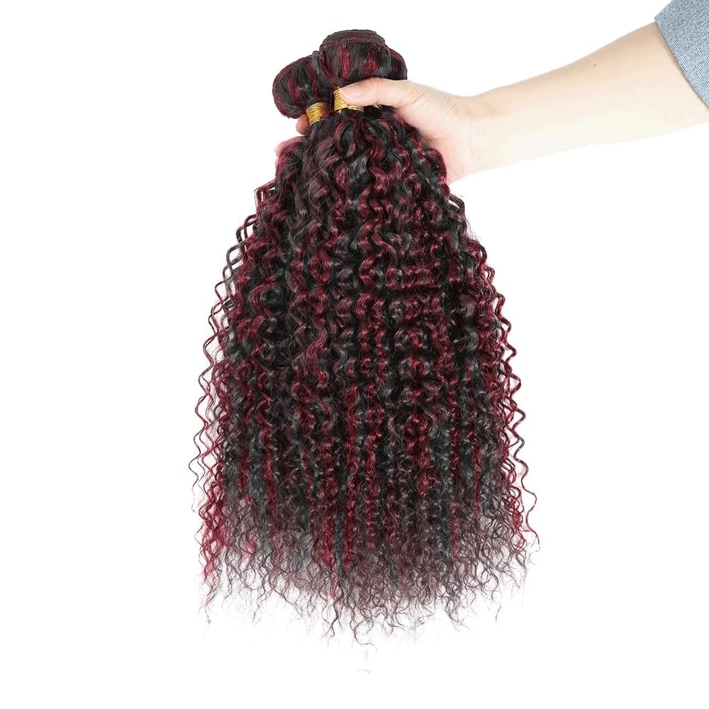 Luxvogue 16 18 20 Inch Inch Burgundy P1B/99J Jerry Curly Human Hair Bundles