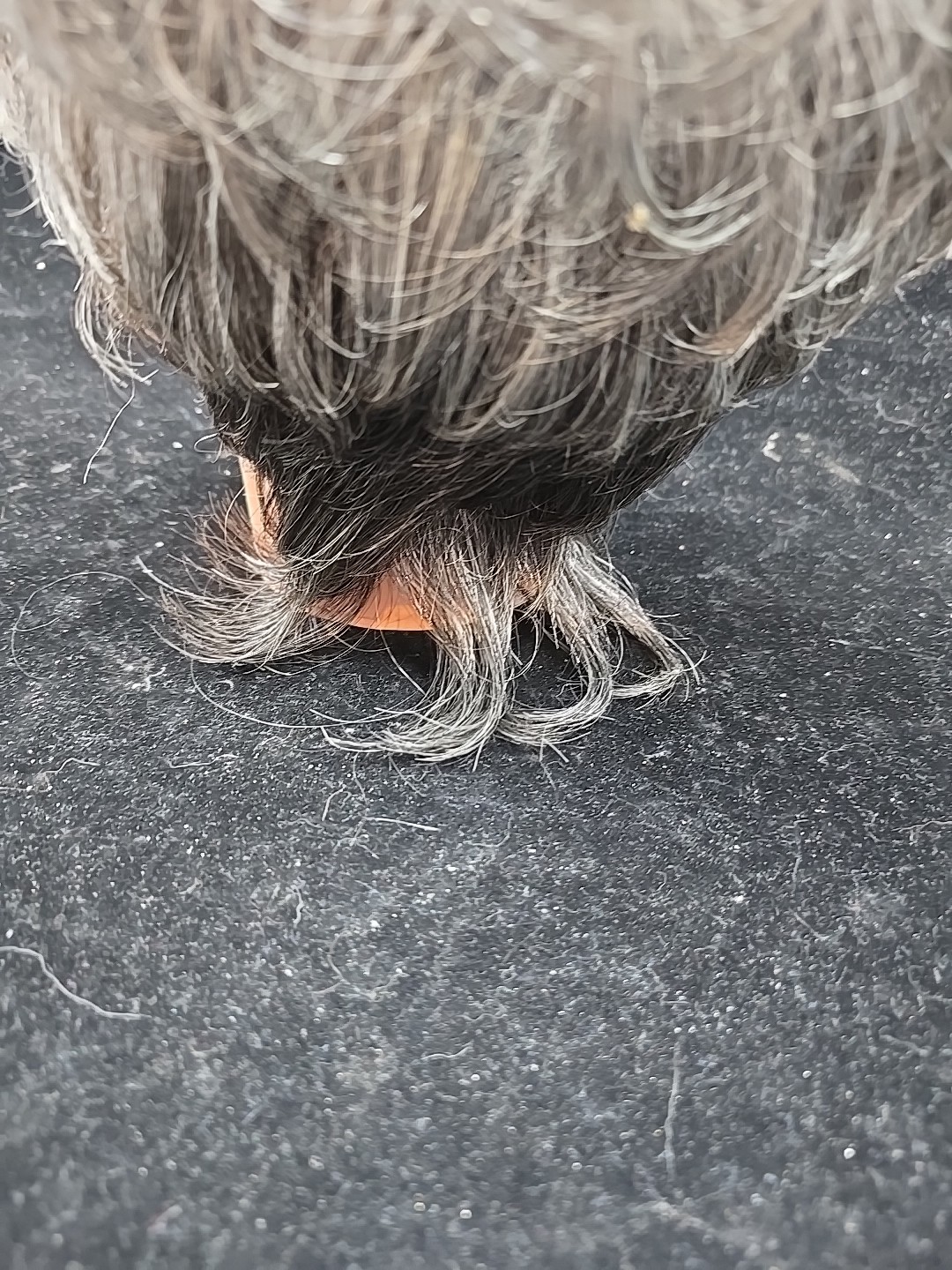 Foxy Silver Wig Gray Shag Short Cute Cut Japanese Origin Made In Indonesia