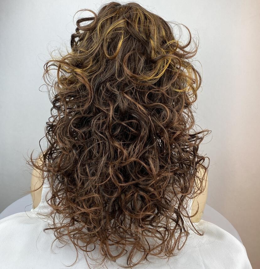 Long Fluffy Curly Brown Highlight Mix Synthetic Hair Wigs Women Party Daily