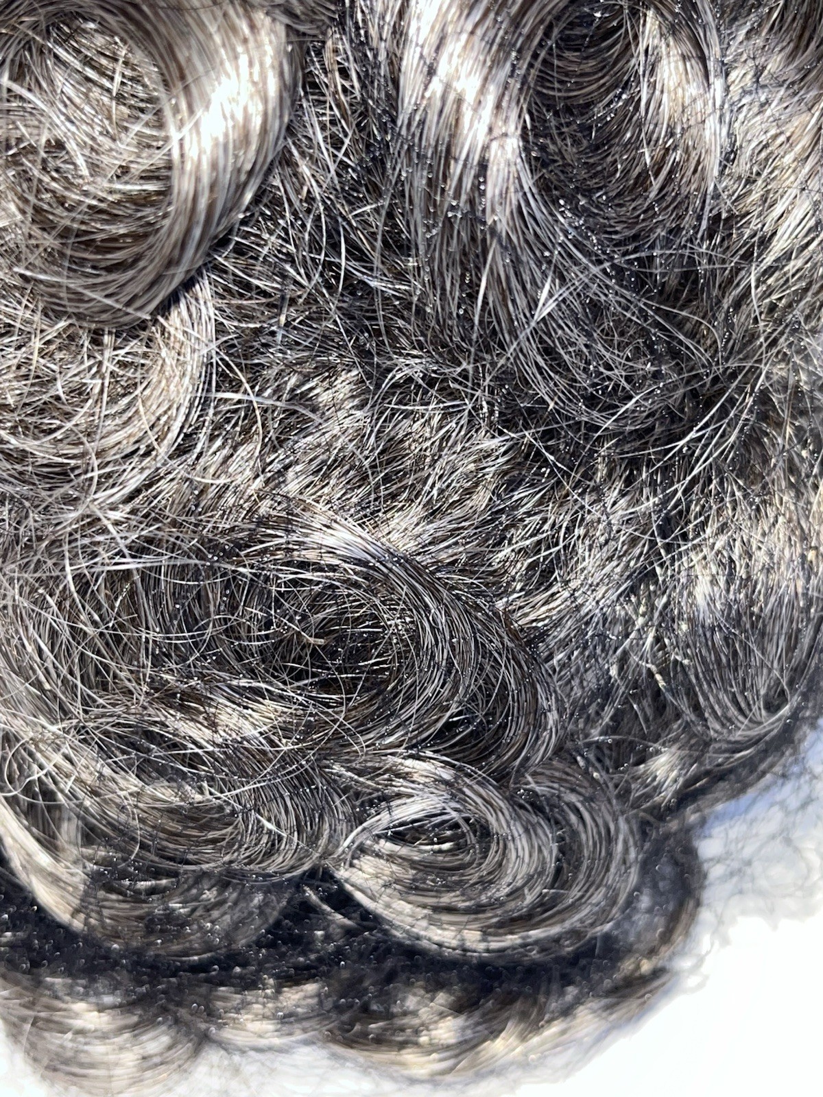 Paula Young Wig A1074 SAPPHIRE Color #44 Salt & Pepper Curly NEW IN BOX