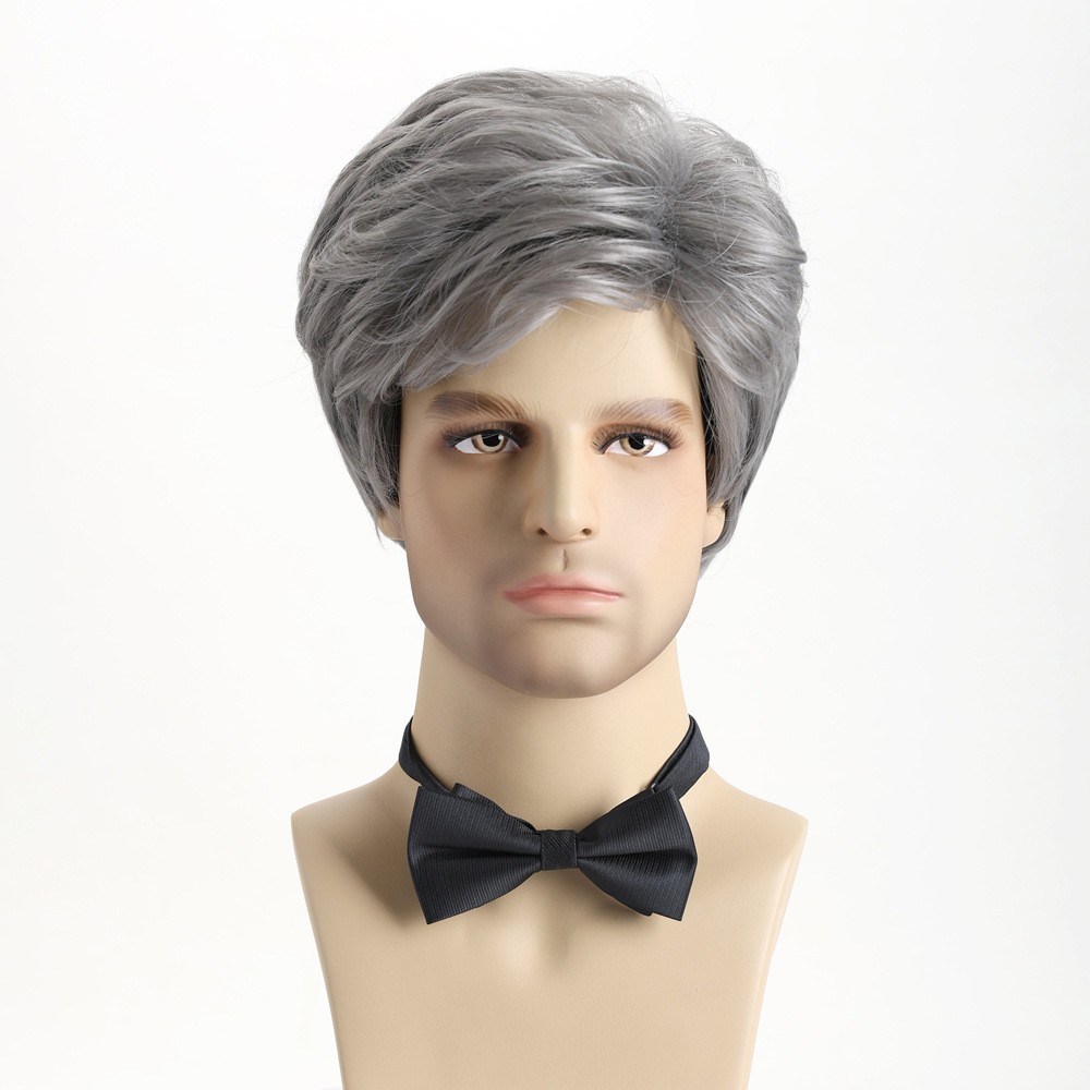 10″ Men’s Short Silver Gray Wig Full Wig Party Cosplay Heat Resistant Synthetic