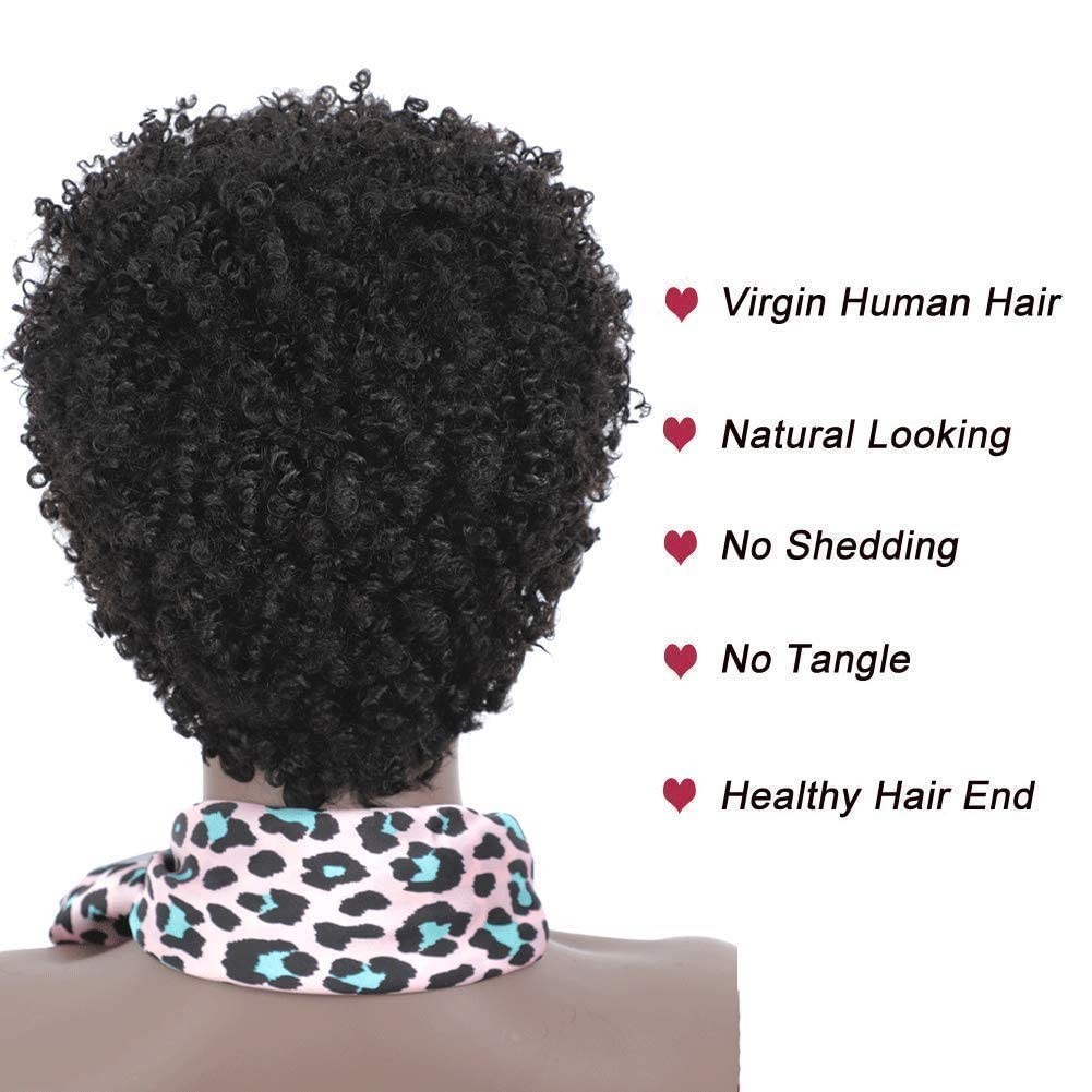 Kinky Human Hair Wig Short Afro Curly Black Women 150% Density Natural