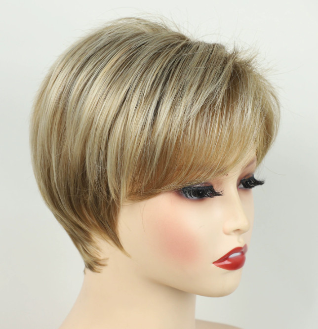 Chic Cut Short Layered Blonde Mix Synthetic Hair Wigs Women Soft Party Daily Use