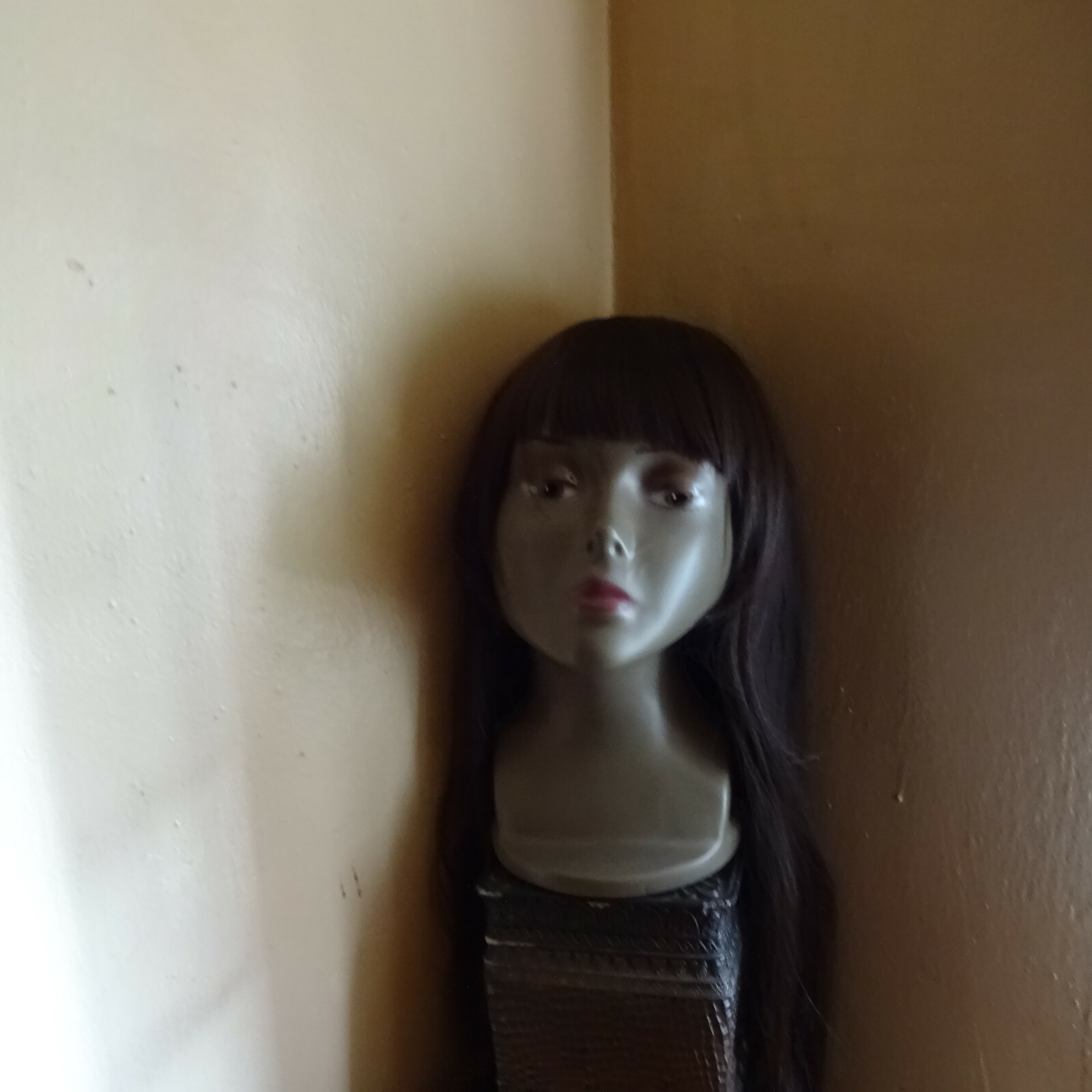 Women Slight Wave W/Bang Brown Long Wig