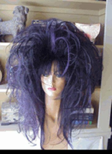 **EMPRESS BIANCA WIGS DRAG QUEEN SEXY LONG PURPLE BLACK