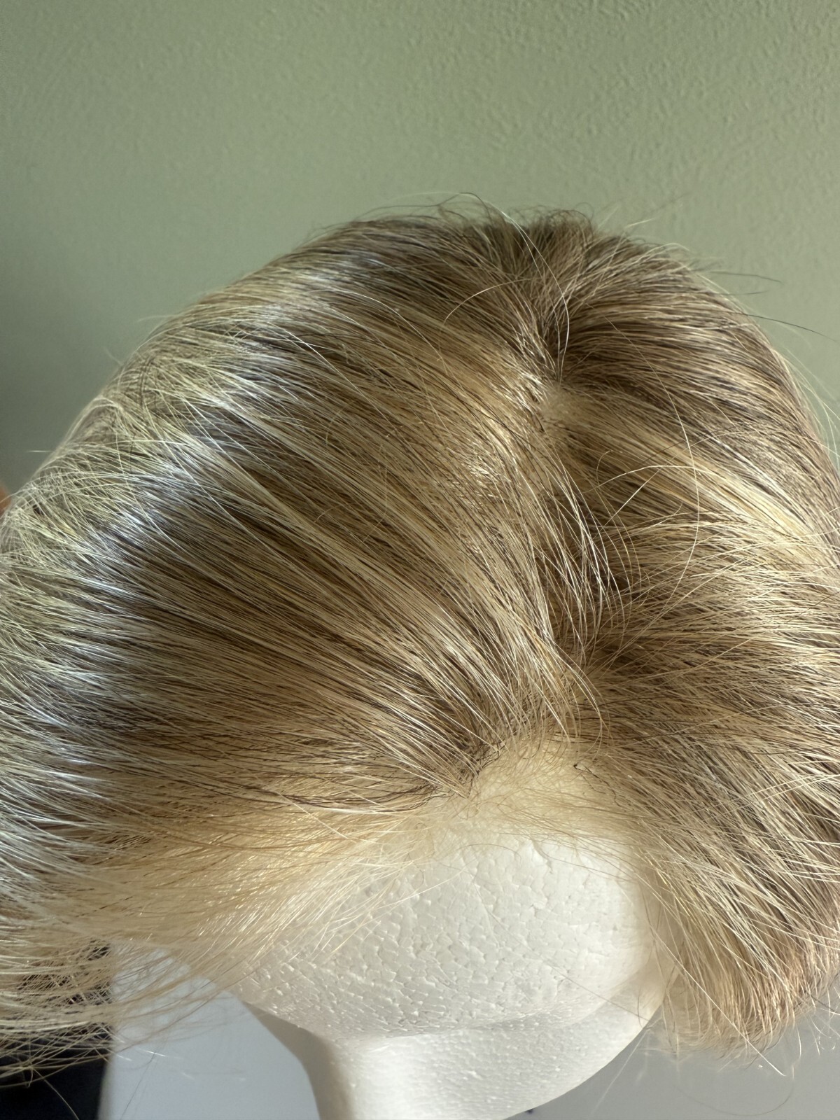 Raquel Welch Miles of Style Lace Front Monopart Wig in R13F25 Praline Foil – NEW