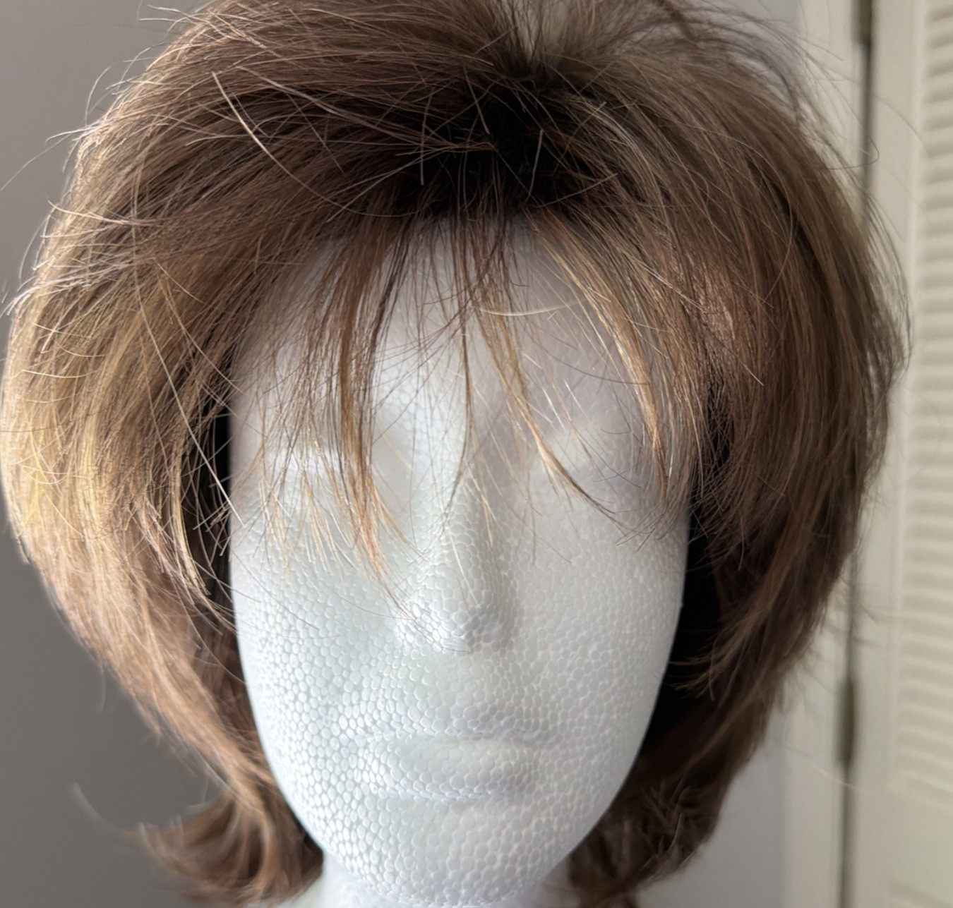 Noriko Sky Wig Large Cap Raisin Glaze W Highlights Lace Front Layered Straight