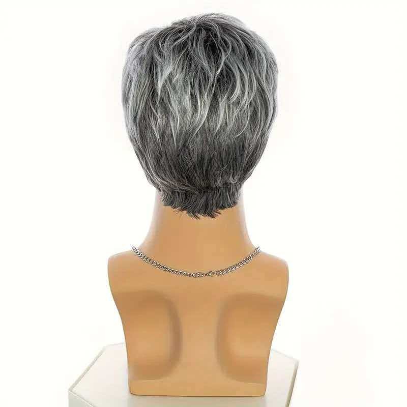Men’s 6in Short Silver Gray Wig Full Cosplay Party Heat Resistant Synthetic