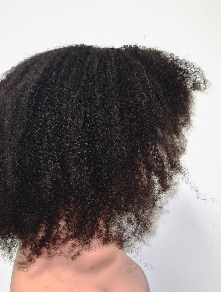 Black Afro Wig 14 Inch 200% Density