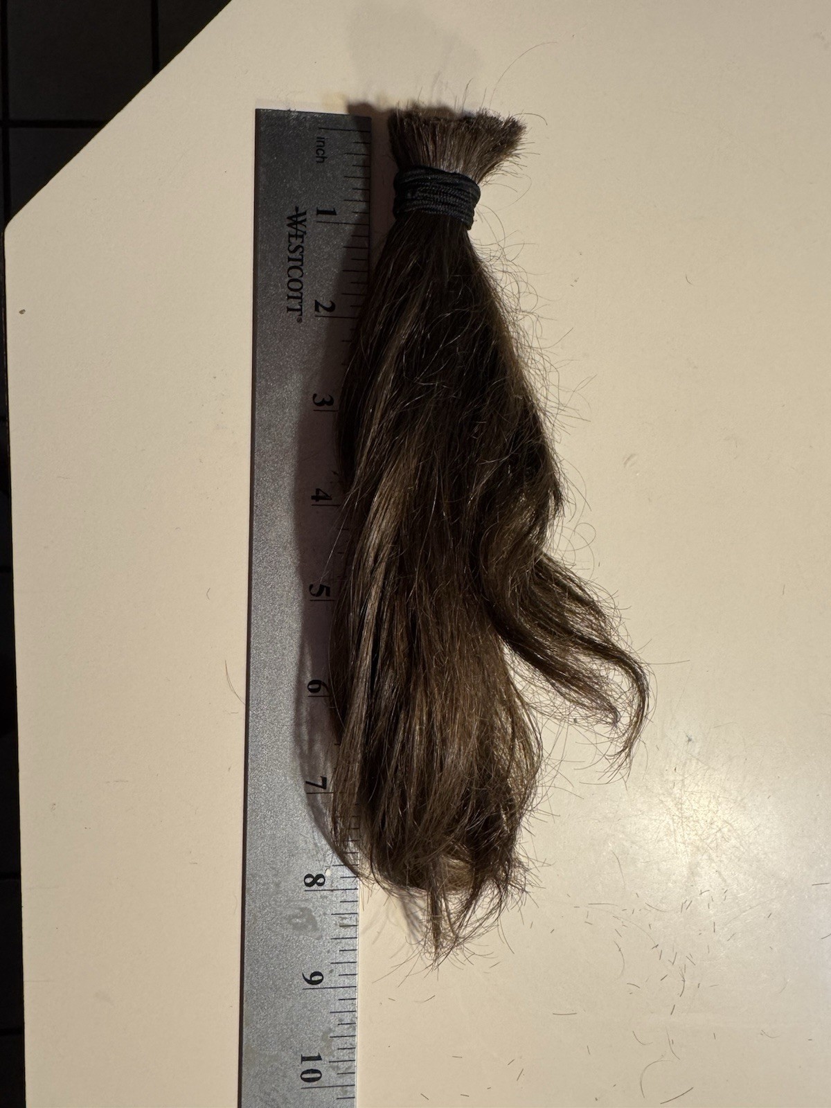 Human Hair 8in Freshly Cut Brown Hair