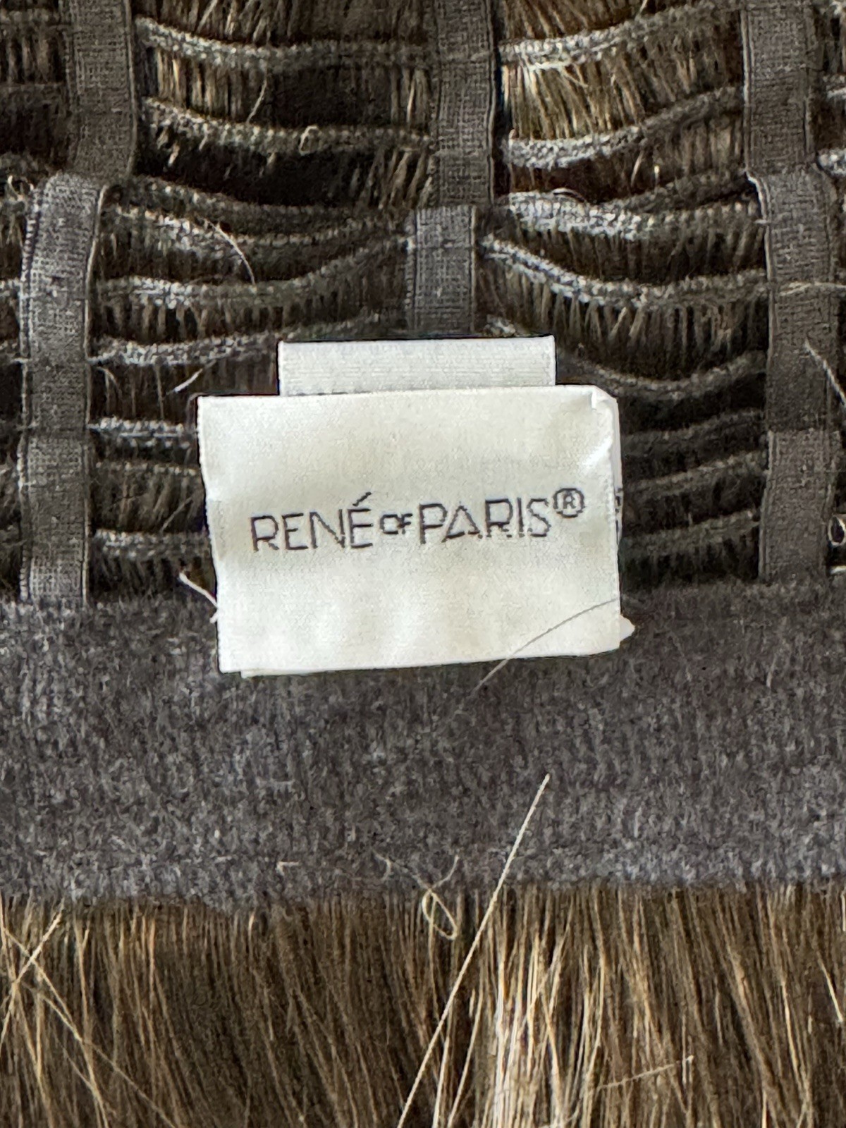 Rene of Paris Harper Wig In Chocolate Frost Rooted Color BNWT Long Silky Tresses