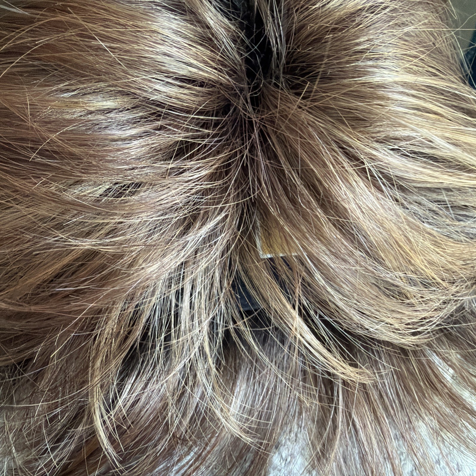 Noriko Sky Wig Large Cap Raisin Glaze W Highlights Lace Front Layered Straight