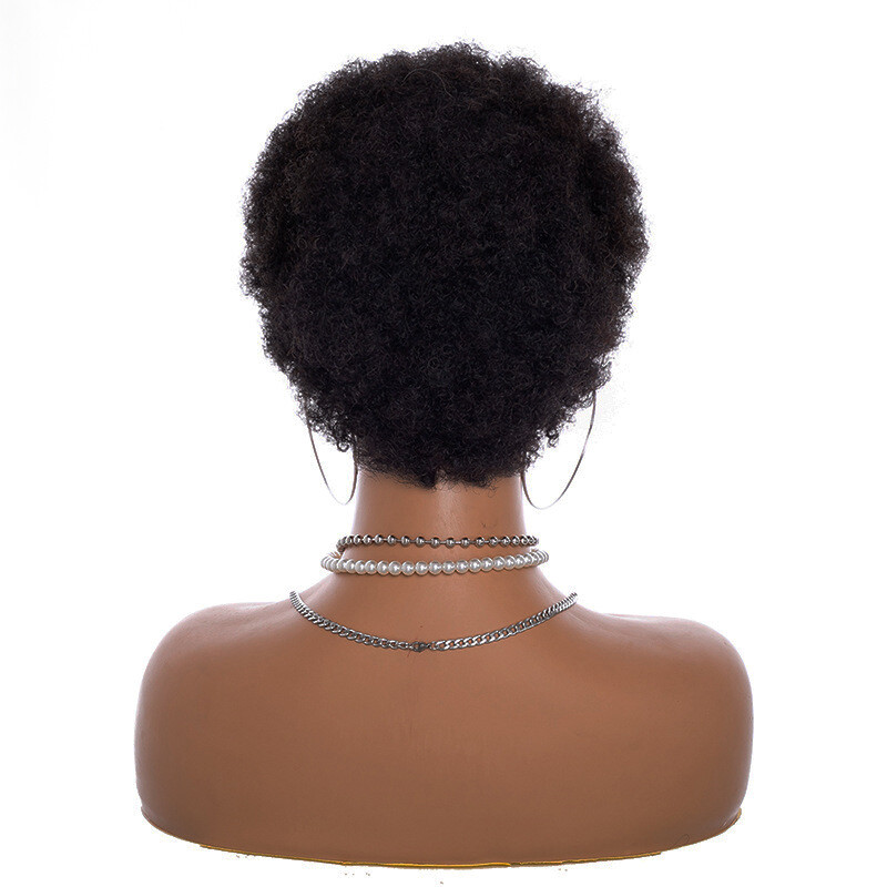 Human Hair Wig Short Black Afro Kinky Curly Wig for Women No Lace
