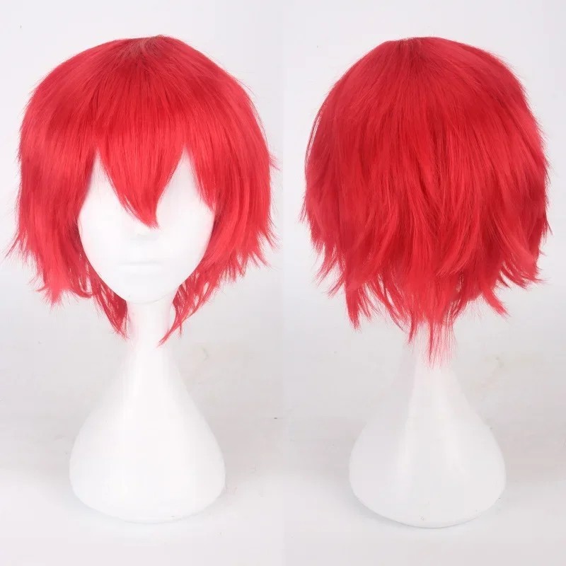 Unisex Anime Short Wig Straight Hair Cosplay Costume Party Heat Resistant Wigs