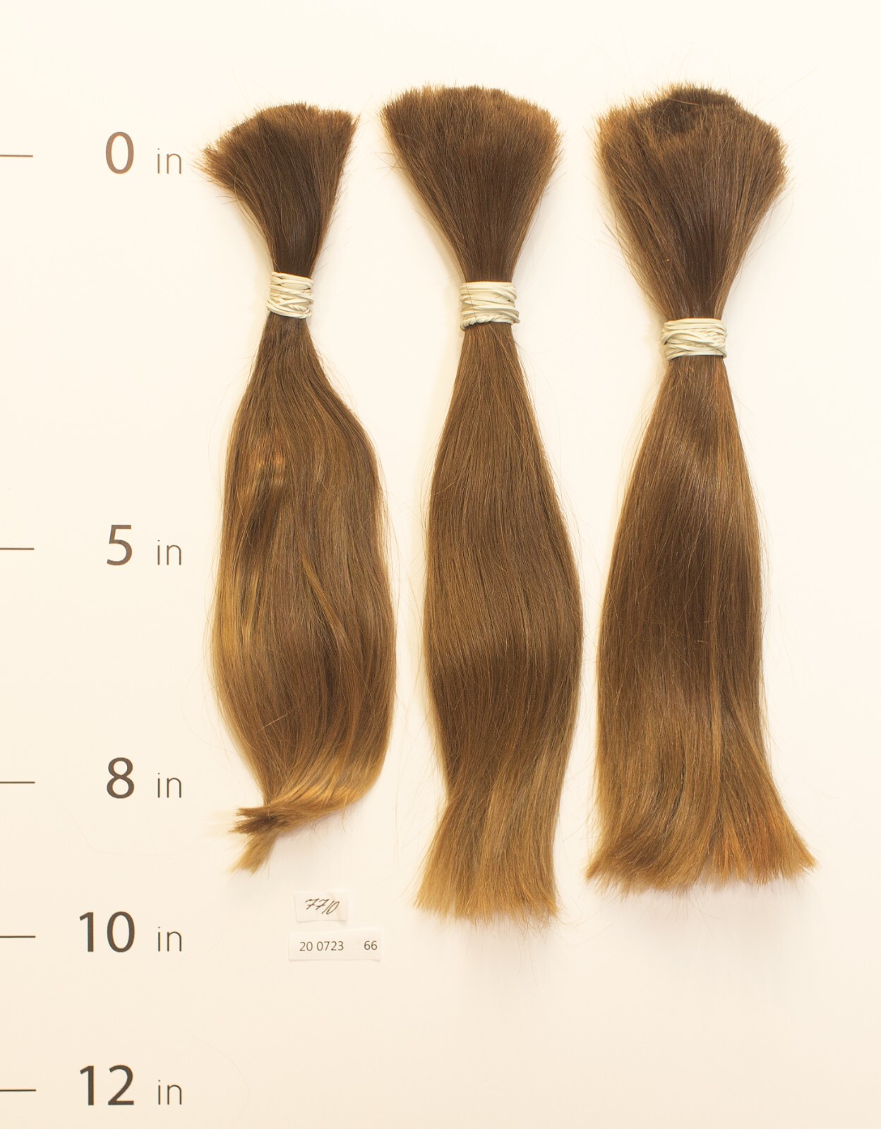 European hair, cut hair, raw hair, Intense Medium Blonde Pure 8”-10”,virgin