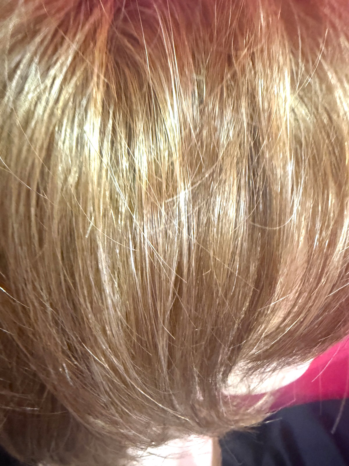 Godiva’s Secret Wigs “Freedom Wig” Copper Glaze-R (Rooted)