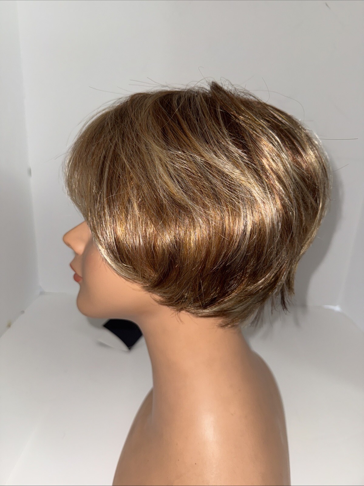 Natural Image Danni Wig Color-Sunlit Russett New With Tags Free Shipping