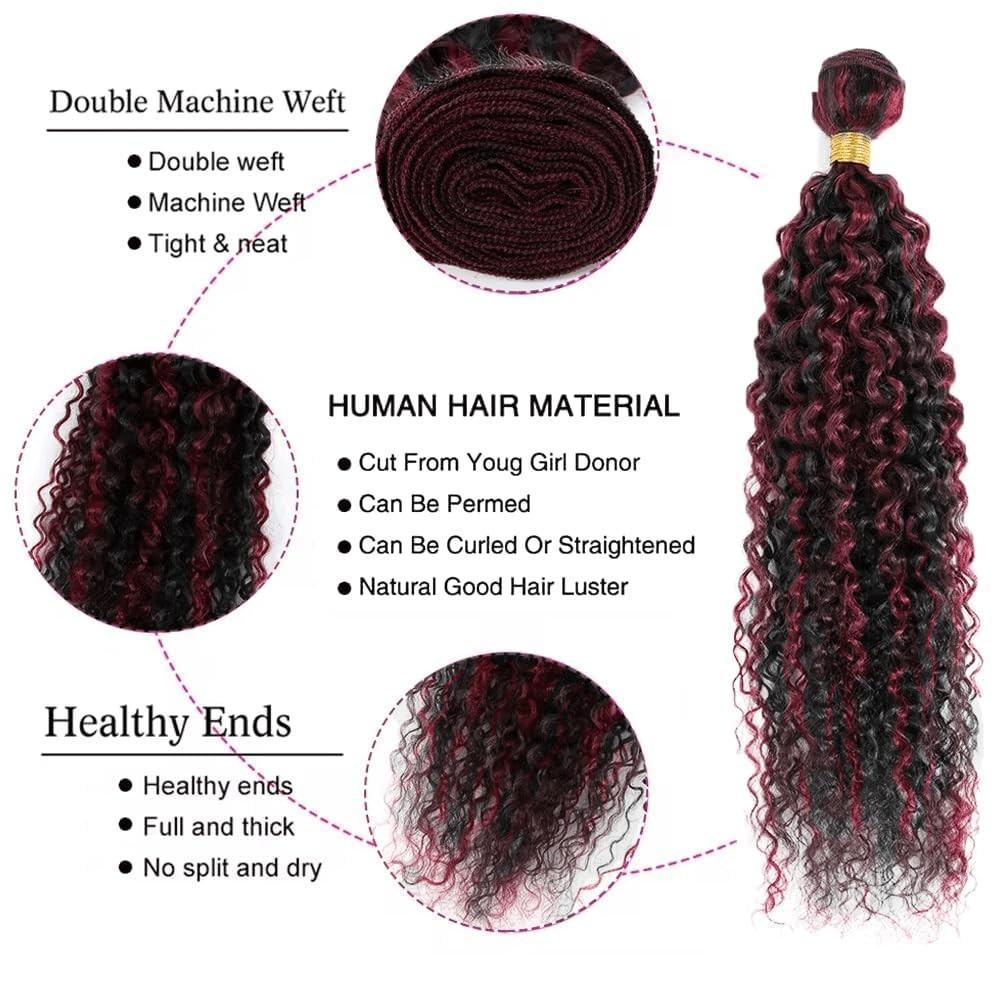 Luxvogue 16 18 20 Inch Inch Burgundy P1B/99J Jerry Curly Human Hair Bundles