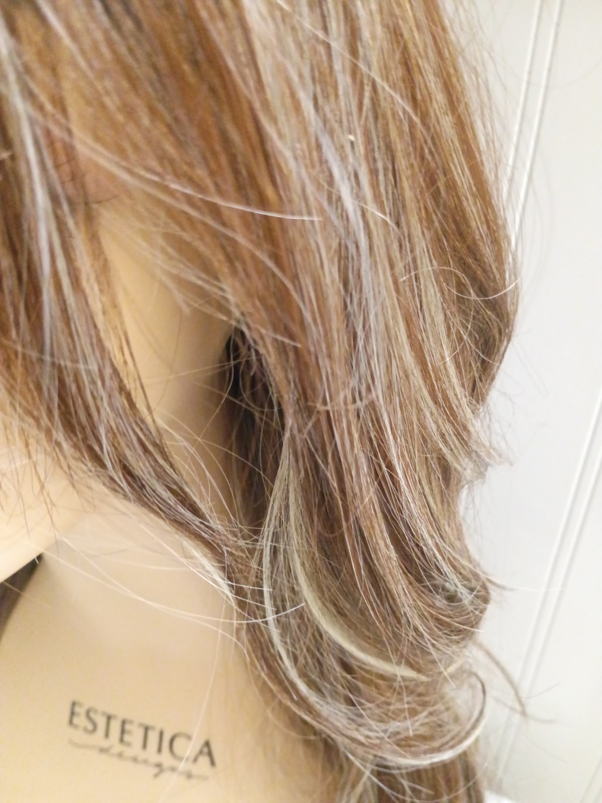 GLAM WAVEZ Wig by RENE OF PARIS, Snowy Umber Heat Friendly! Mono Prt, Lace Ft