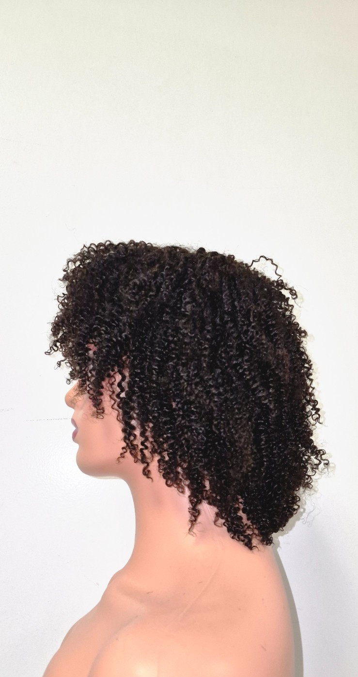 Black Afro Kinky Wig