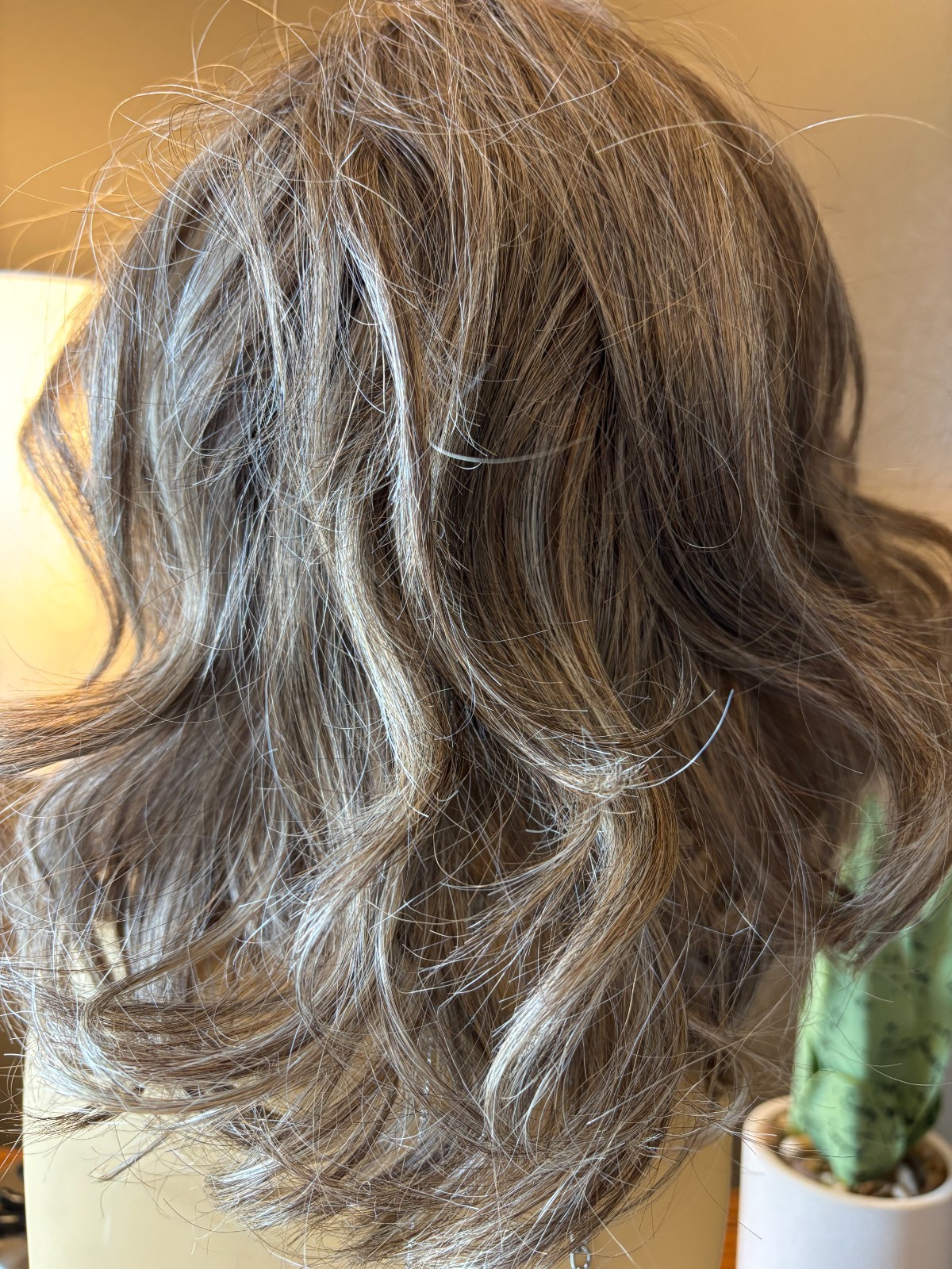 Raquel Welch Editor’s Pick Elite – RL12/22SS