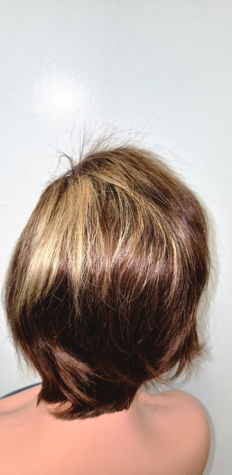 Short Blonde & Brown Wig