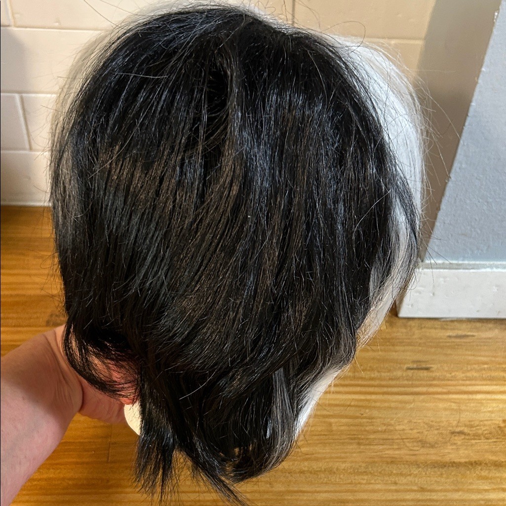 Short Wavy Cruella Deville Wig – Synthetic Black & White wig & DALMATION plushy