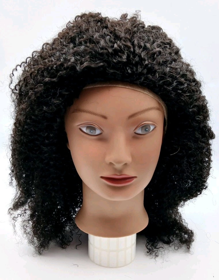 Queen Of Hair Curly Afro Style Lace Front Wig 1B30 Black Womens 18″ Hair Wigs